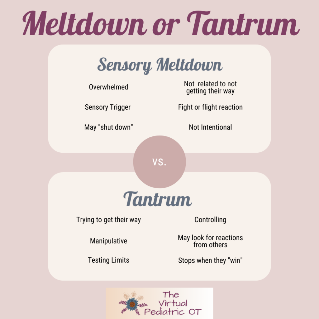 Meltdown or Tantrum